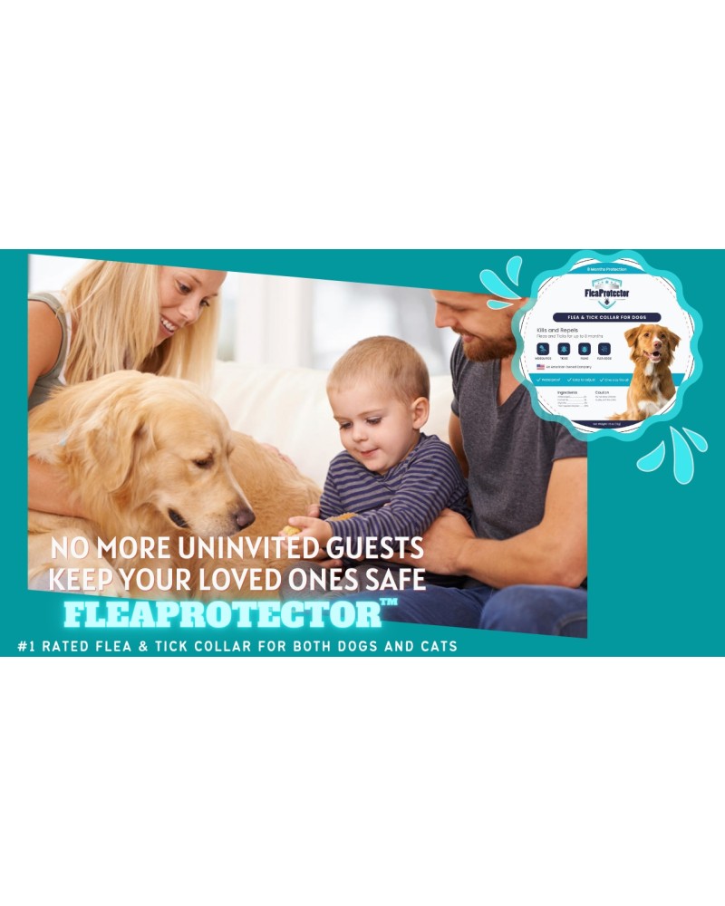 FleaProtector™ – Anti-Flea, Tick, & Mosquito Collar (8 Month Protection)